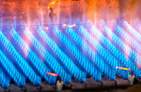 Scaur Or Kippford gas fired boilers